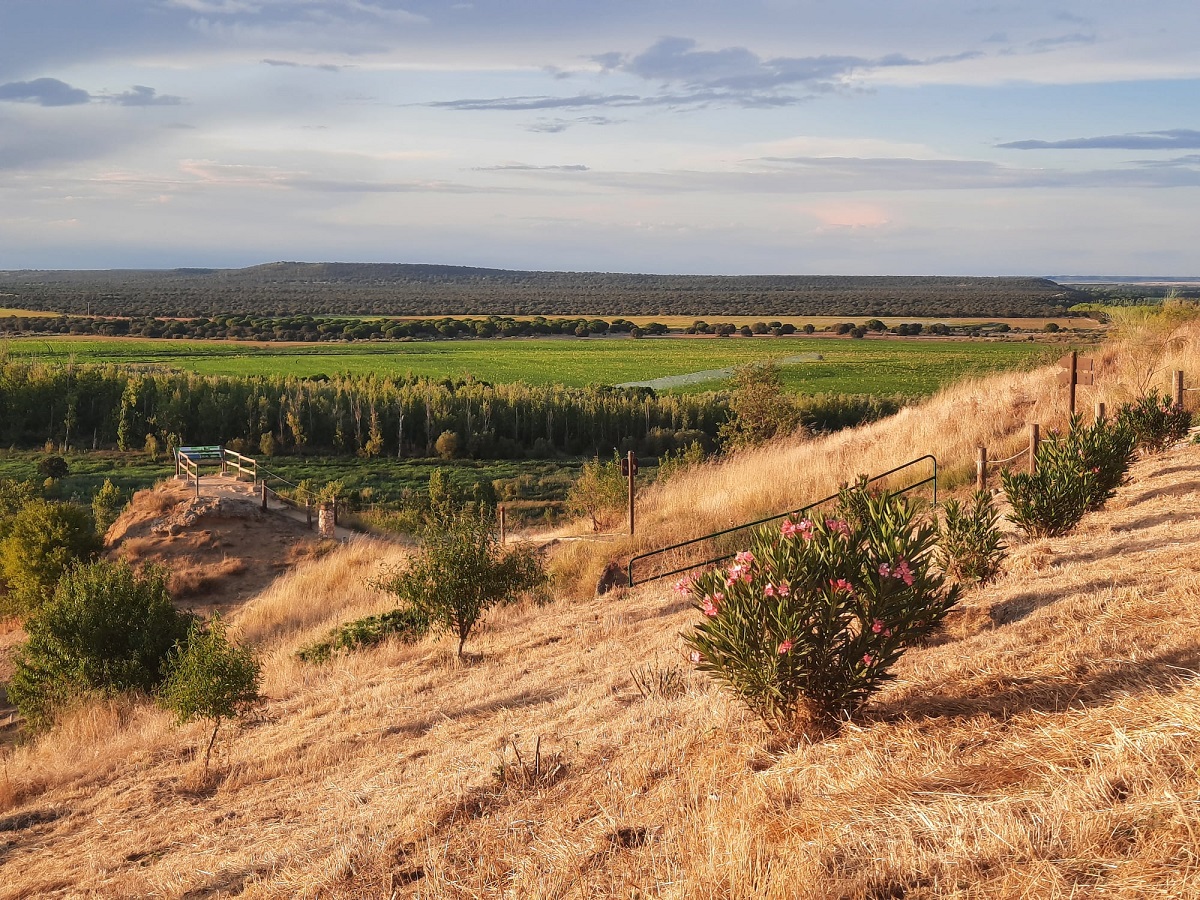 Camino junto al río
