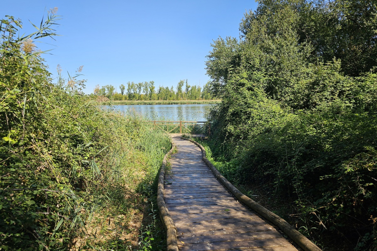 Carrizal reserva Castronuño