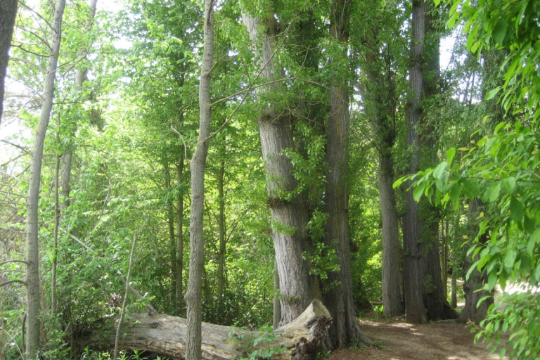 Casa rural Valladolid