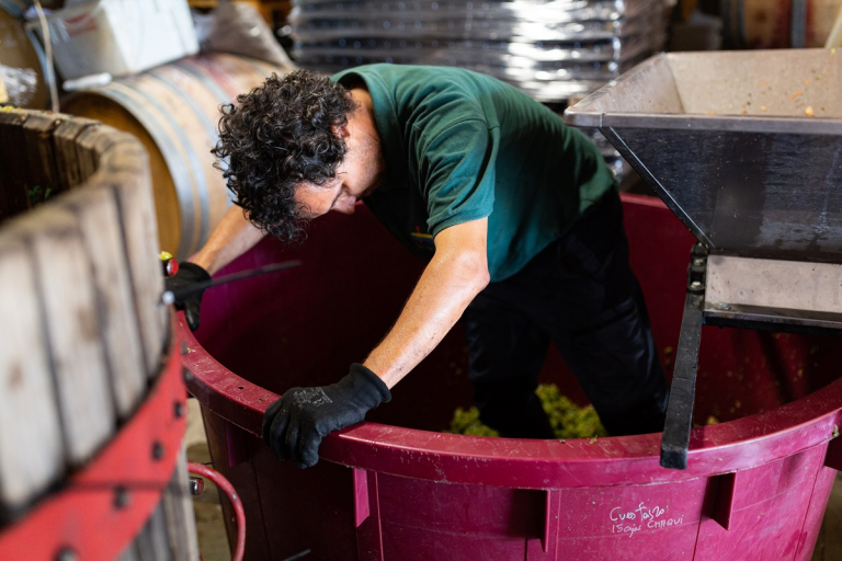 Enoturismo Valladolid