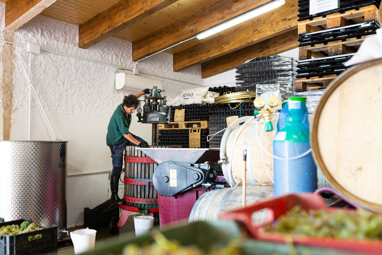 Bodega Beautiful Alamedas