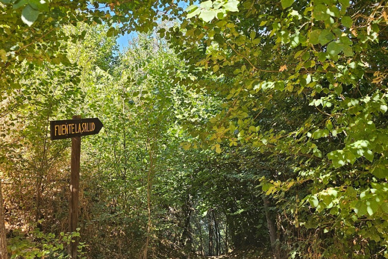 Fuente de la Salud Castronuño