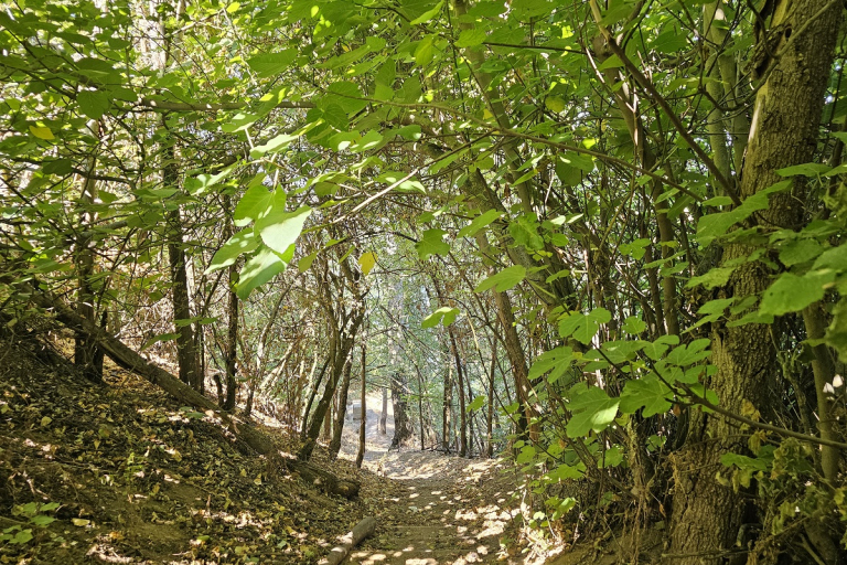 Escapadas en familia
