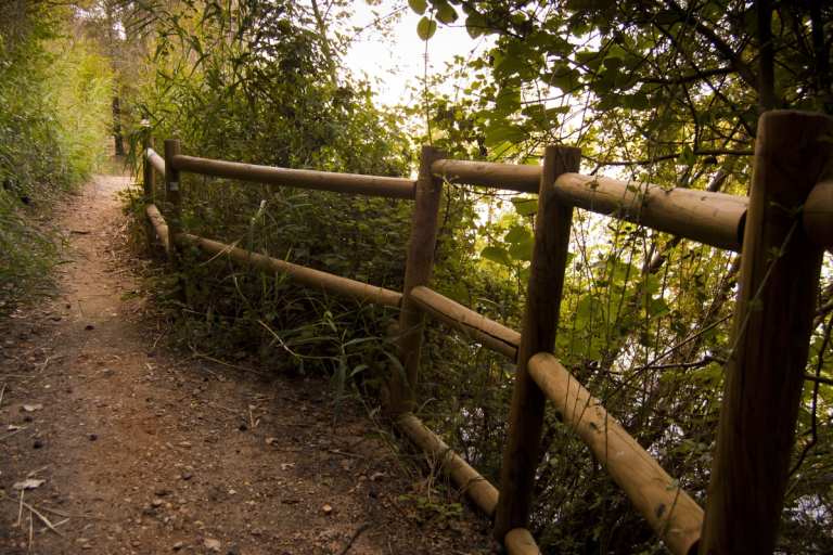 Camino junto al río