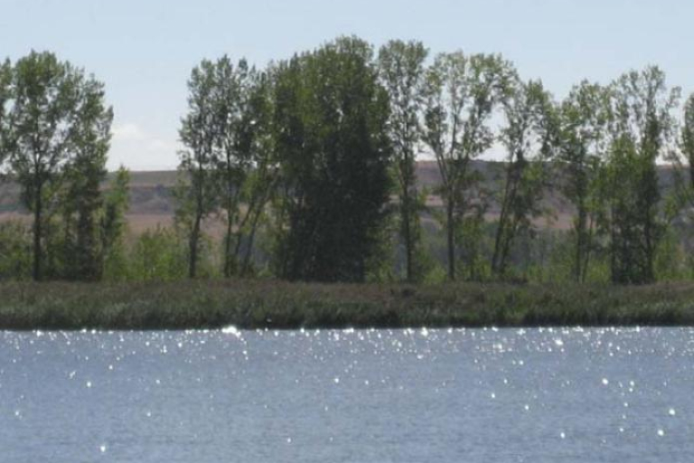 El Dios de las Praderas Verdes