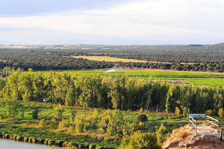 Monte de encinas Castronuño
