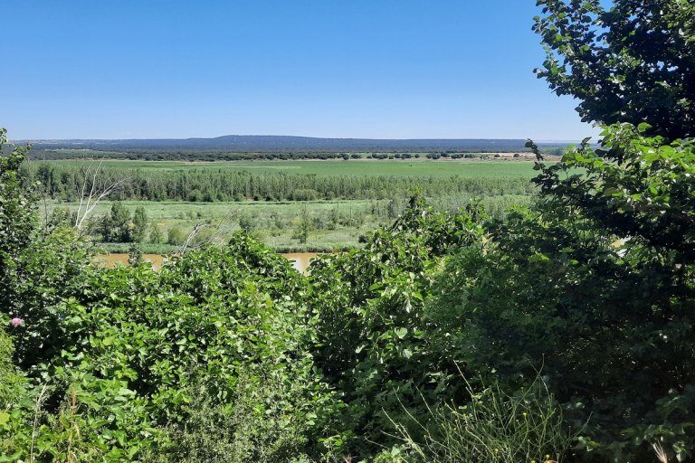 Naturaleza Castronuño