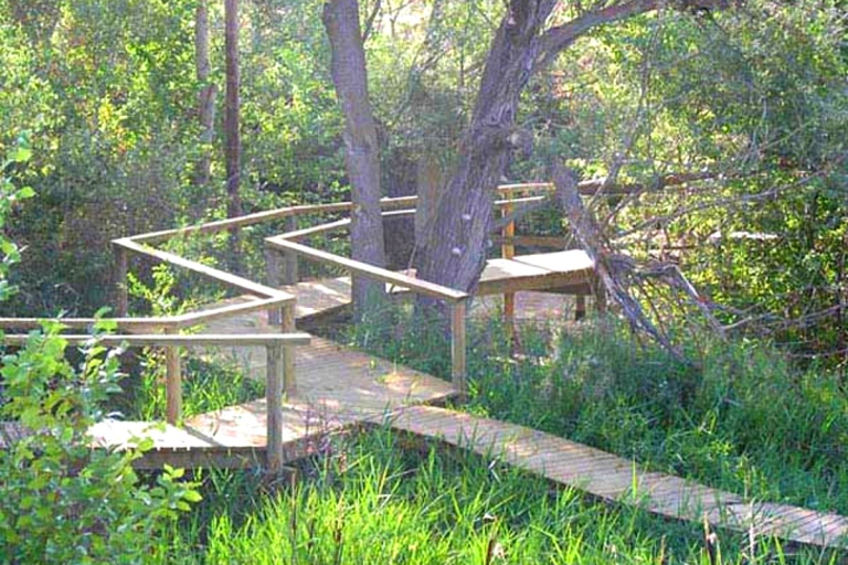 Pasarela reserva natural