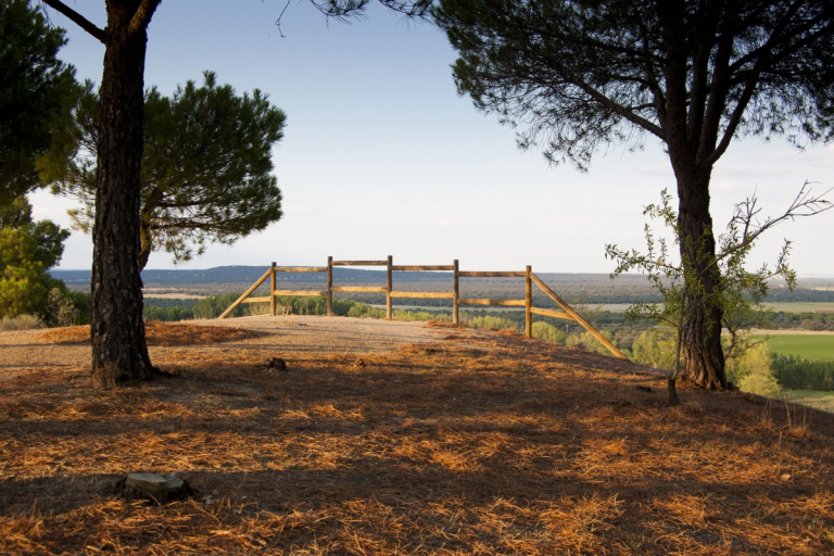 Reserva Natural Riberas de Castronuño