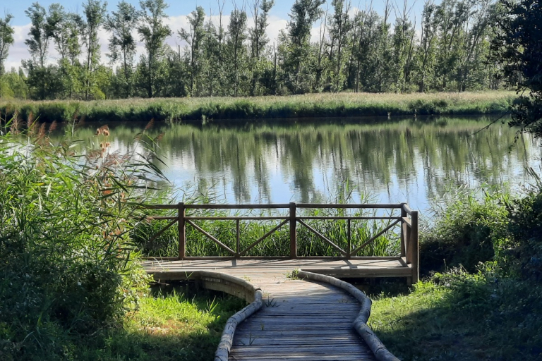 Río Duero Castronuño