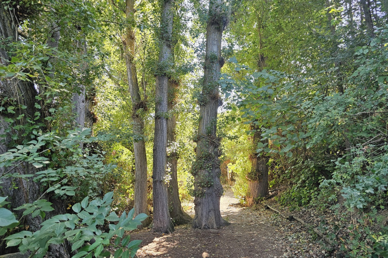 Senda de los Almendros Castronuño