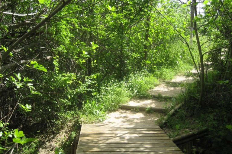 Senderismo Castronuño