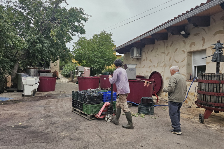 Bodega en Castronuño