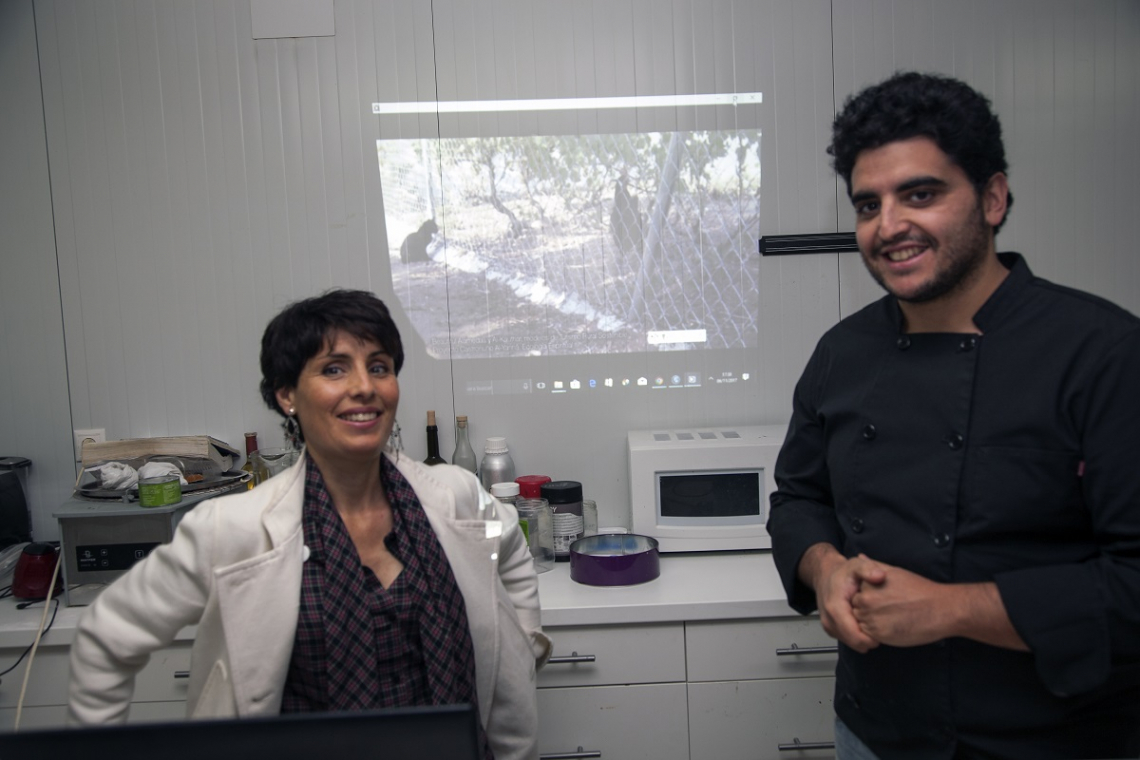 organic holidays spain, rural retreats, eco-friendly, green hotels, lodging, resorts, boutique luxury villas, rental  holiday homes Castile and Leon, Salamanca, Valladolid, Segovia, Avila