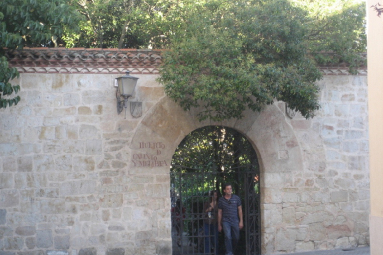 10 must visit cities in Spain, Salamanca - Beautiful Alamedas, secret places with soul