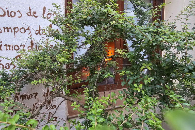 Beautiful Alamedas, un oasis privado para adultos