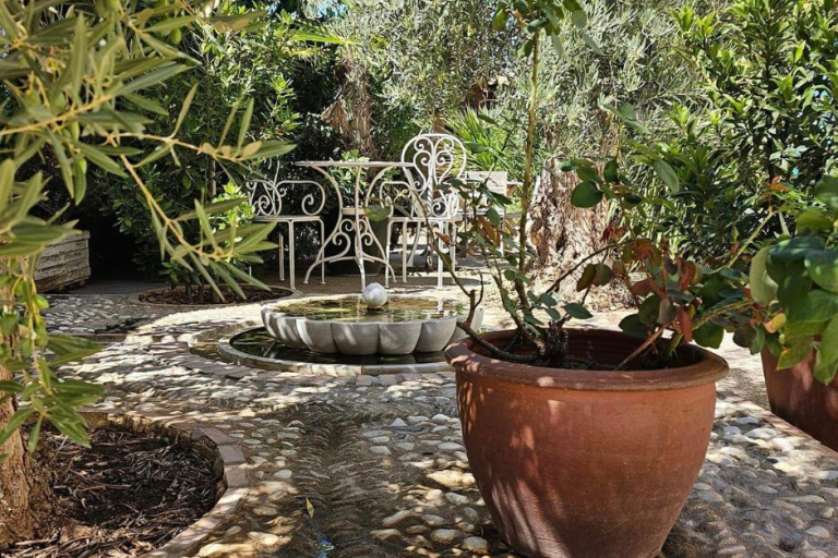 BEAUTIFUL ALAMEDAS, un pequeño oasis 