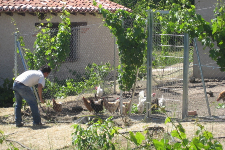 casas rurales ecológicas Valladolid, Castilla y León, ecotur, comidas, cenas, menús, desayunos orgánicos, ecoturismo, agroturismo, eco-enoturismo, desarrollo sostenible, reserva, parque natural riberas de castronuño-vega del duero