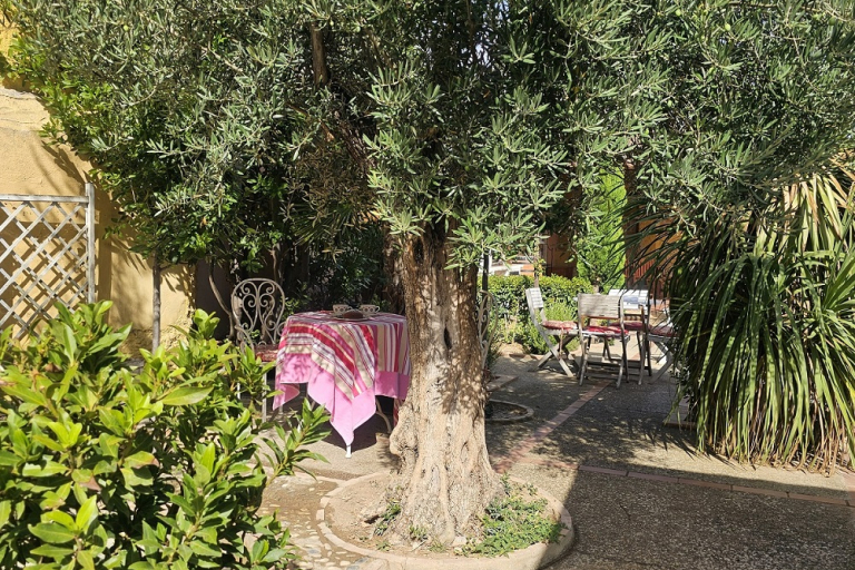 Olivo