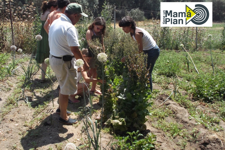 Casas Rurales Medina del Campo, Tordesillas, Valladolid, niños, mamá tiene un plan