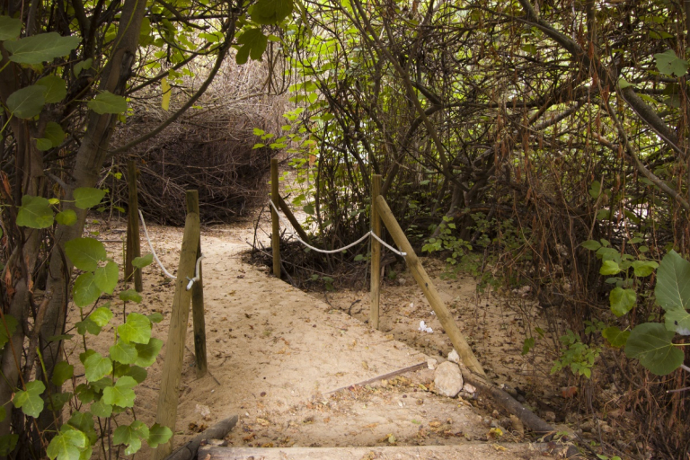 Casas Rurales Medina del Campo, Tordesillas, Valladolid, niños, mamá tiene un plan