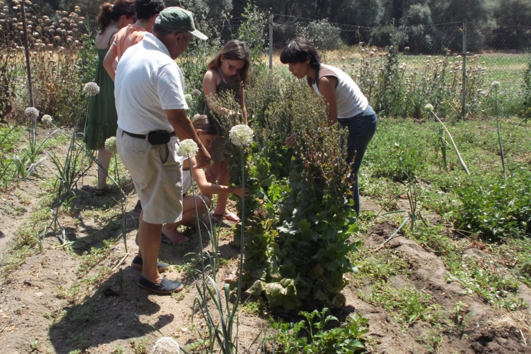 Casas Rurales Medina del Campo, Tordesillas, Valladolid, niños, mamá tiene un plan