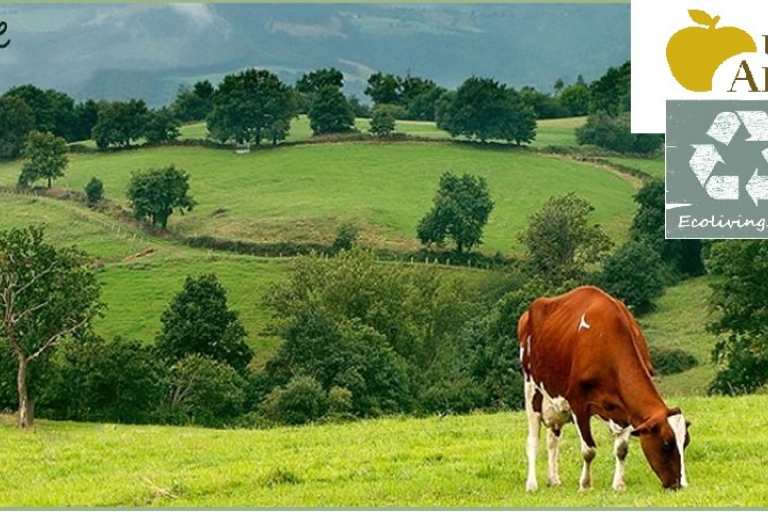 Casas rurales Valladolid, Tordesillas, Toro, Zamora, Salamanca, ecoliving, ecoturismo rural