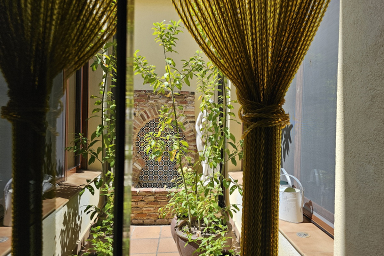 courtyard garden view