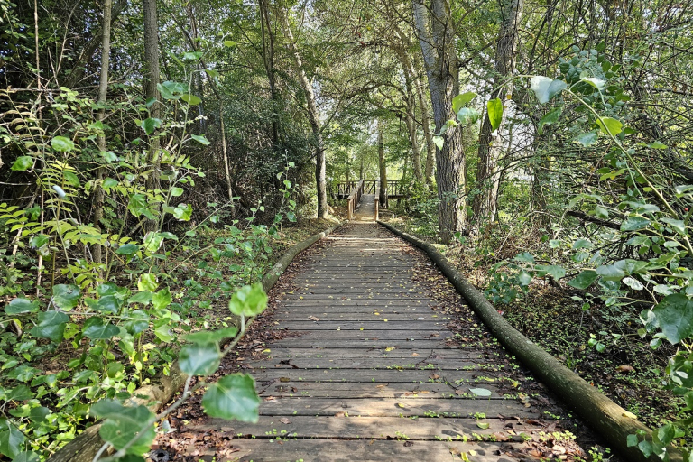 Hotels Autovía Highway Castilla A-62