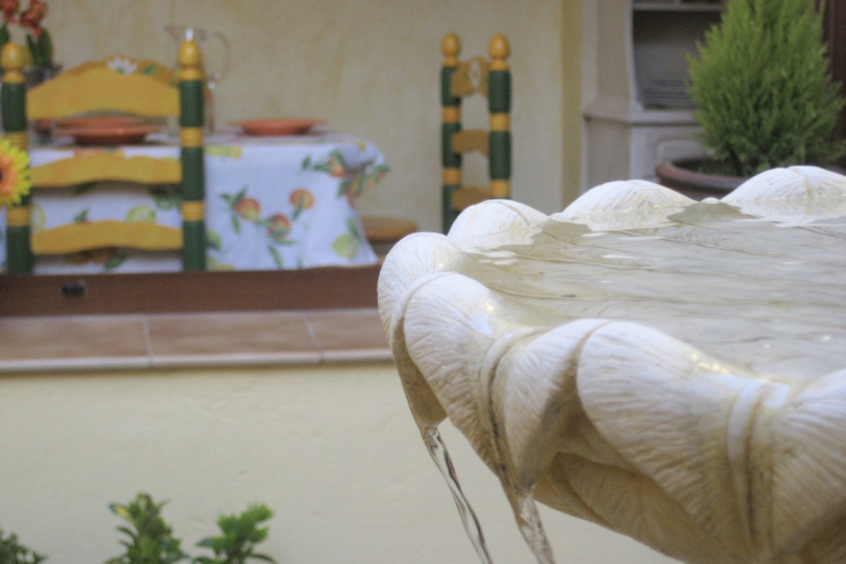 Fuente del patio interior